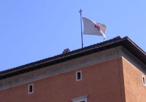 The flag of the Order 