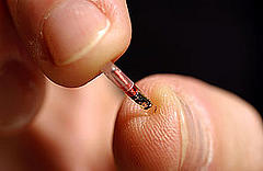 rfid_chip