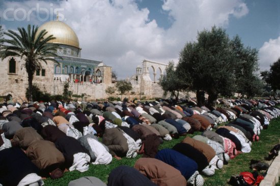 muslim-prayer-temple-mount