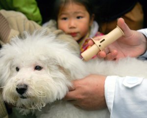 Yesterday you tagged your dog. Tomorrow you will curse and tag your children. 