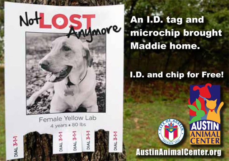 Neither your dog nor your child will ever again get lost. 