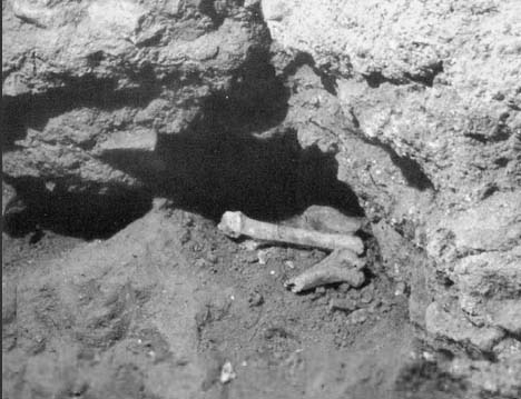     These are bones of the Jewish Apostle Peter, at the site were they where found in 1942.