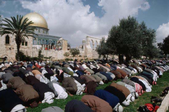 The Muslims put their butts up towards the Dome of the rock, when they pray for Israels destruction.