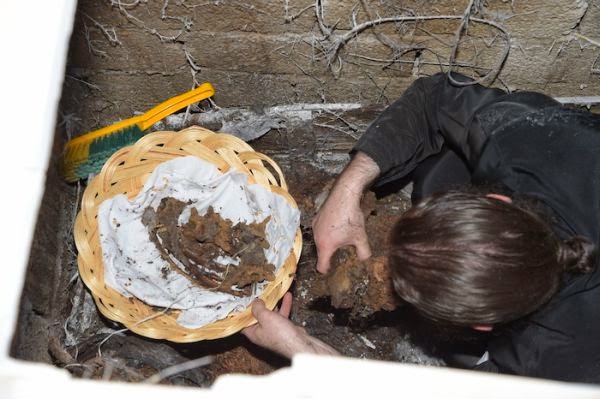 The gacve looters take pictures, and they have dug deep for the skull. 