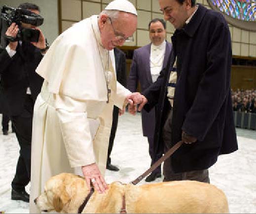 There is no information given about this dogs willingness to accept the message of the Pope. 