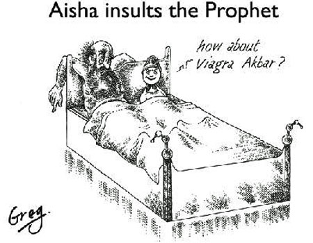 Aisha insults Prophet Muhammad cartoon