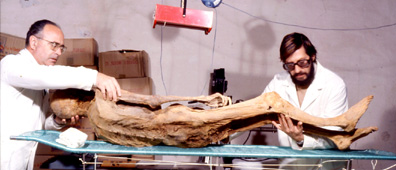 The Vatican Museun got their hands on the exhumed corpse of Ubaldo in 1974.