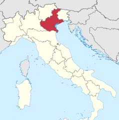 The skull of bones of 